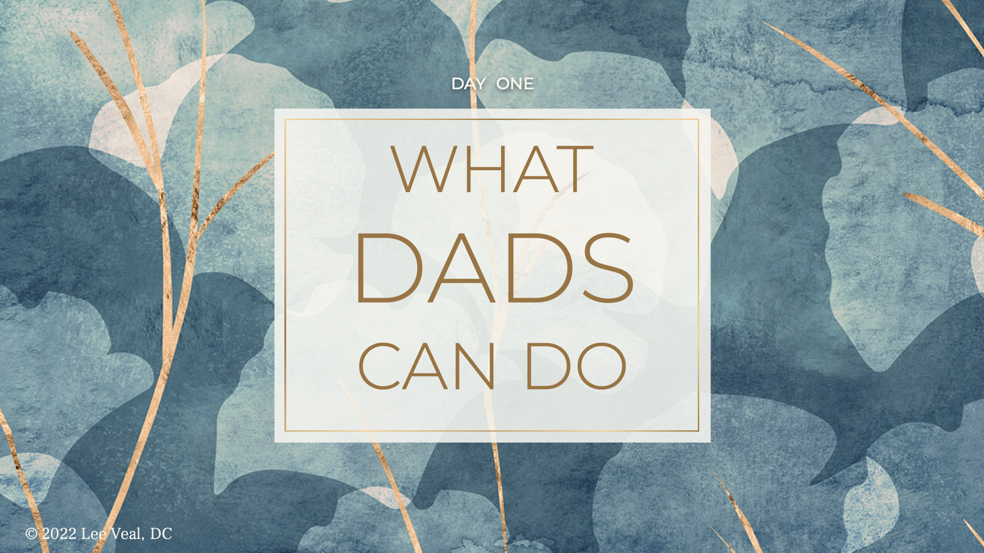 What Dads Can Do — illustrated instruction page 1 of 36