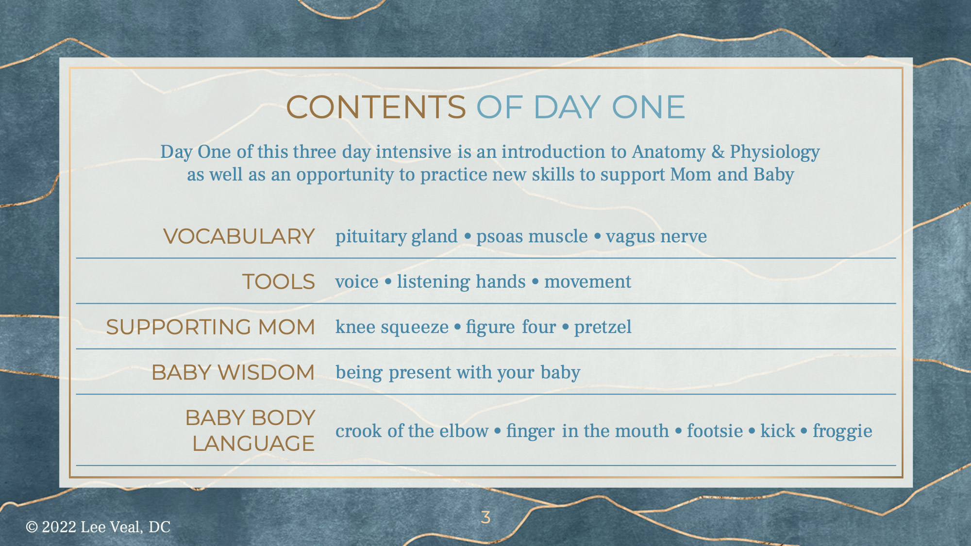 What Dads Can Do — illustrated instruction page 3 of 36